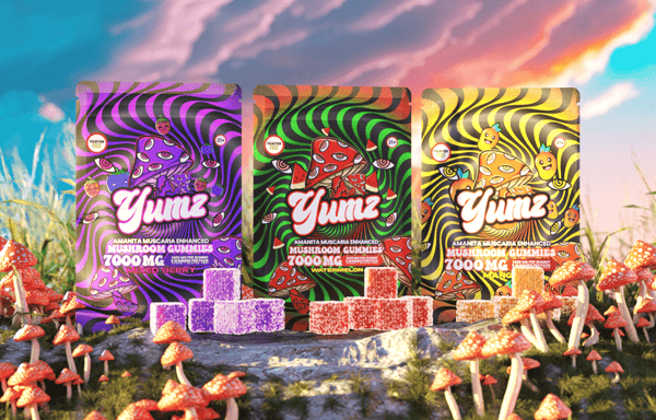 Yumz Lab Banner