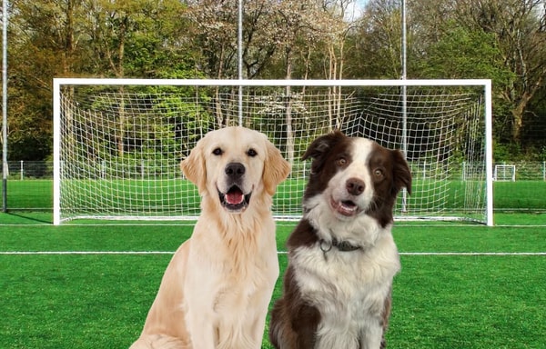 Zooplus Banner