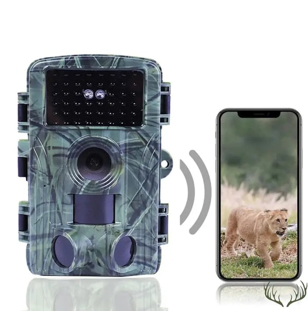&Eacute;vasion Chasse Cam&eacute;ra de Chasse WiFi Avis
