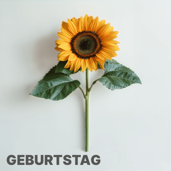 123Blumenversand Bewertung
