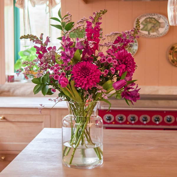 Freddie's Flowers Abendlied Bewertungen