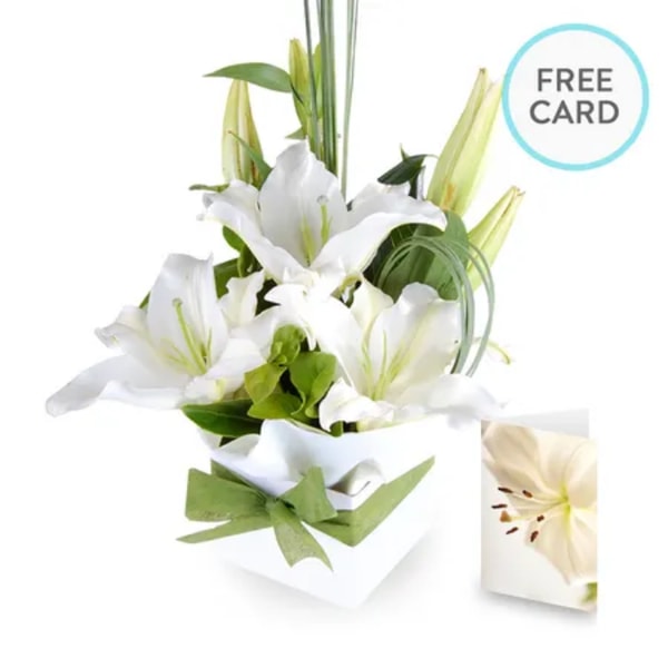 1300FLOWERS Abbie Special Review