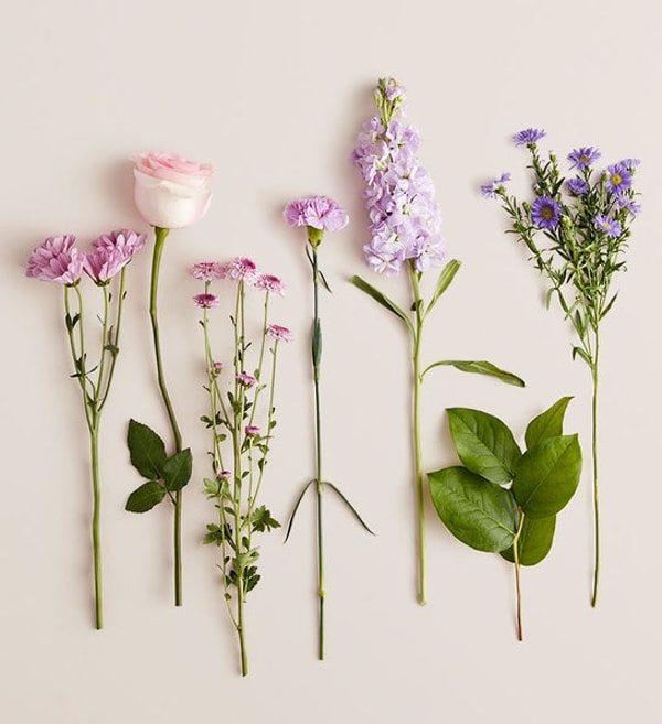 1800Flowers.com Review