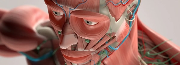 Centre of Excellence Anatomy and Physiology Diploma Course Review
