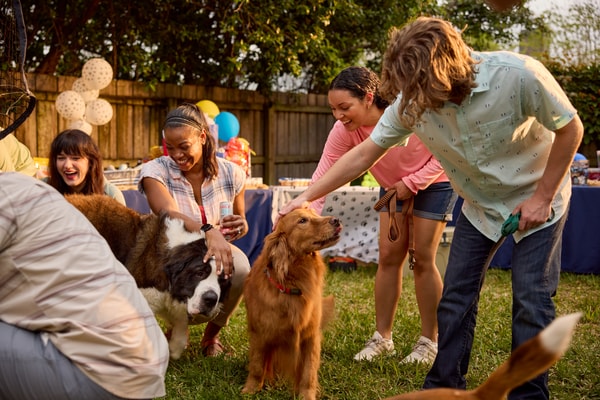 Blain's Farm & Fleet Review