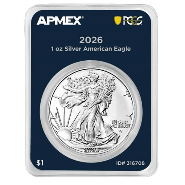 APMEX American Eagle Silver Coin review