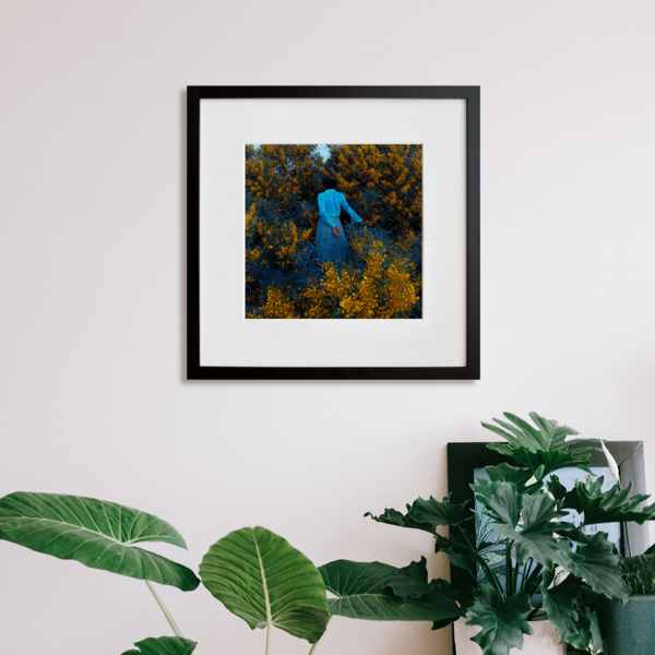 20x200 Prints  The Moment Is Now Review