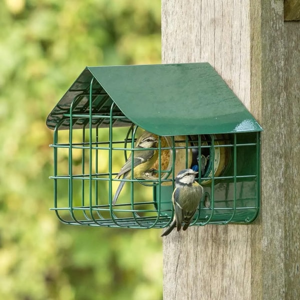 Vivara Waterford Guardian Caged Peanut Butter Feeder Review