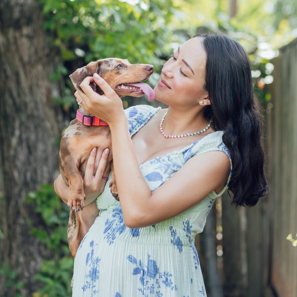 Overview of Patchwork Pet and Its Role in the Pet Toy Industry