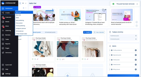 Vista Social Professional Plan Review