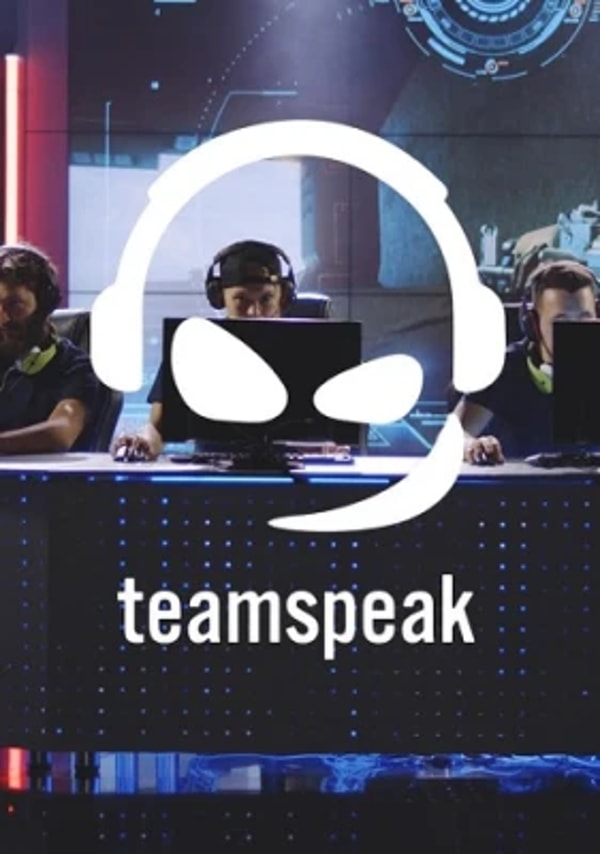 4Netplayers TeamSpeak Server Review