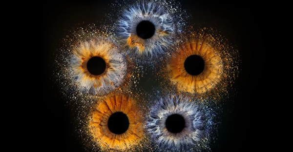 PicturePeople Iris-Fotografie Bewertung