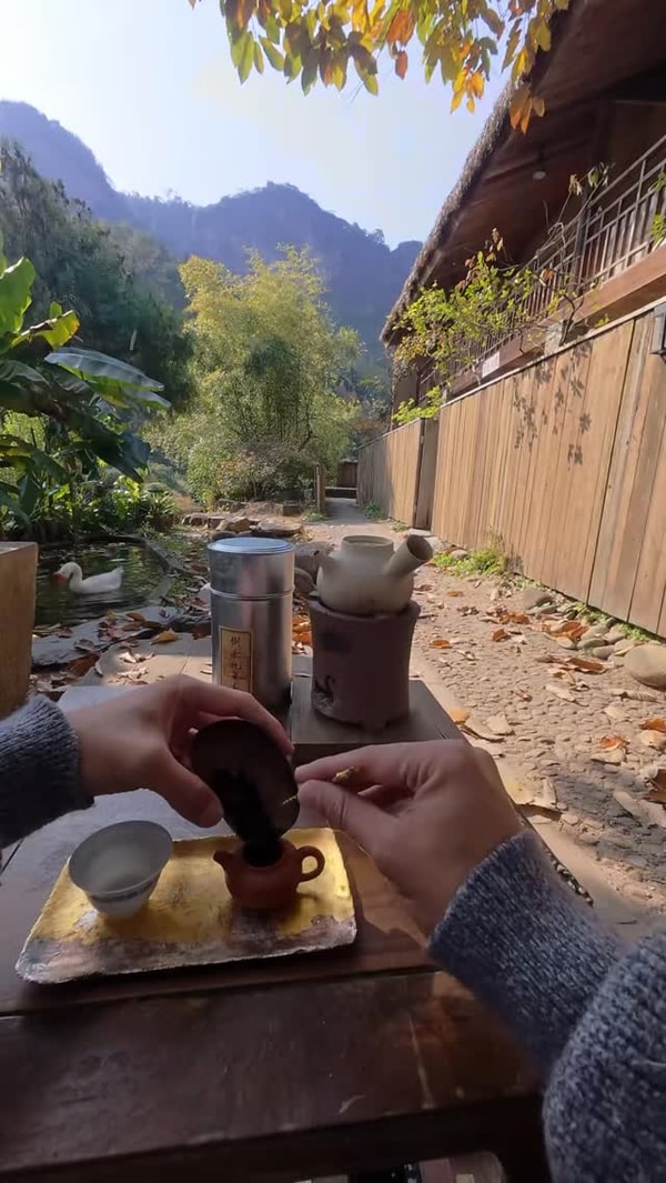 Overview of MoriMa Tea