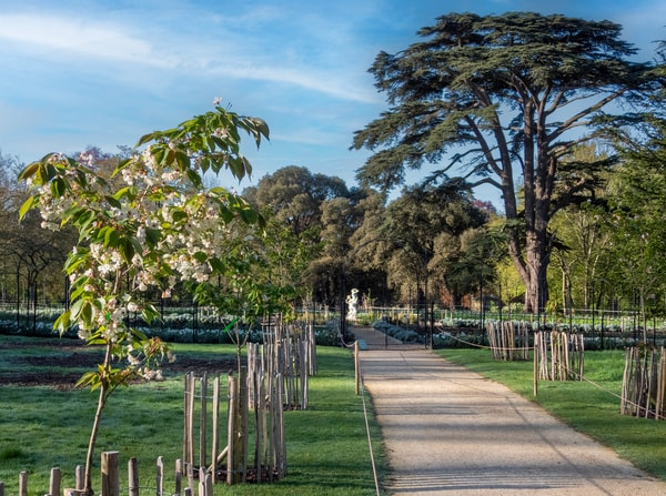 About Blenheim Palace