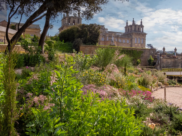 Blenheim Palace Palace & Play Pass Review