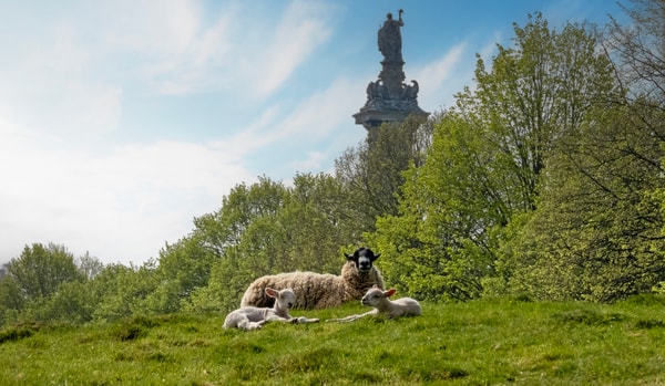 Palace, Park & Gardens Pass Review