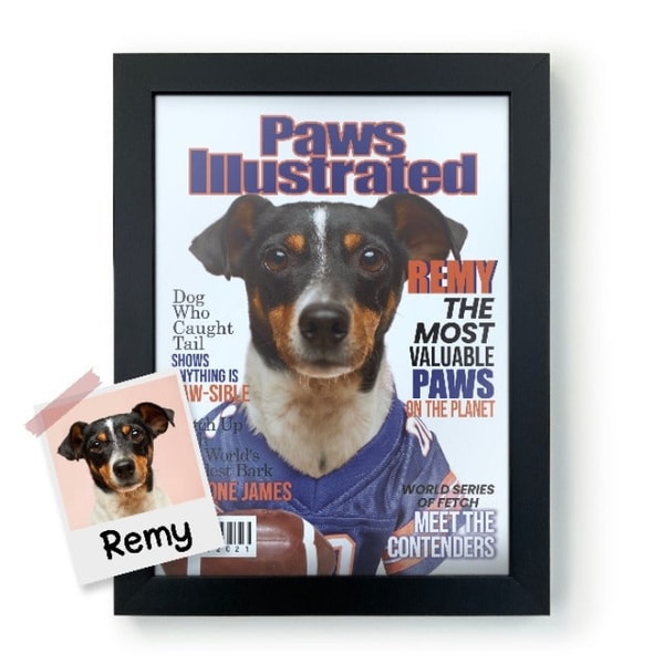 About Guilty Paws