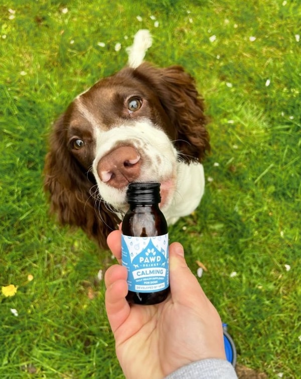 About PAWD DRINKS Functional Liquid Supplement