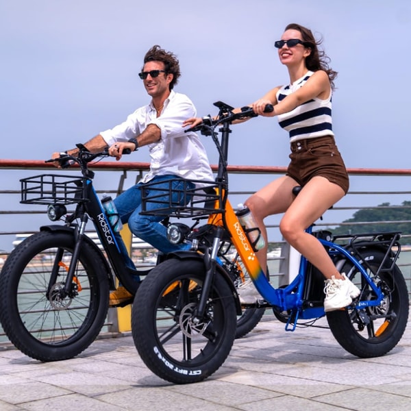 About Ridstar
