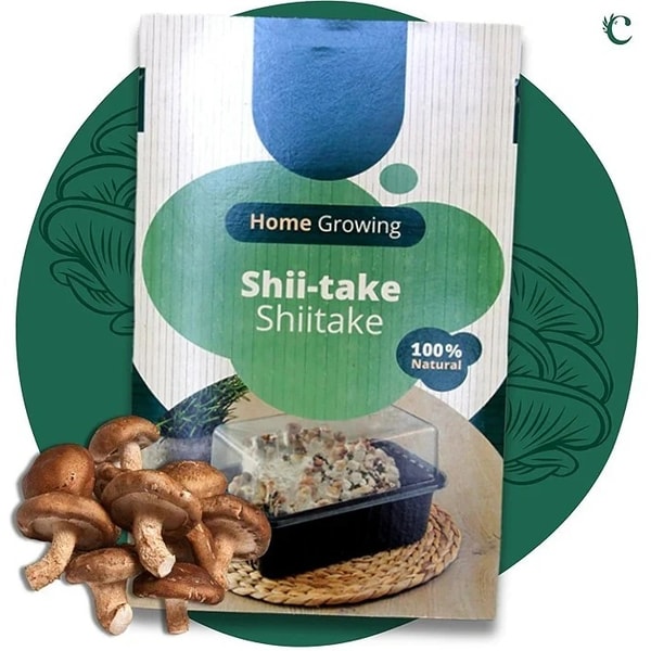 Carbeth Plants Mushroom Growing Kit Shiitake Reviews