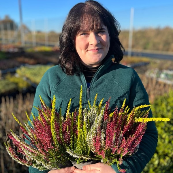 Carbeth Plants Reviews: What Do Customers Think?