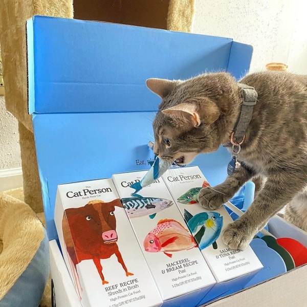 Cat Person Cat Food Review: Cat Person Cat Food Reviews: What Do Customers Think?