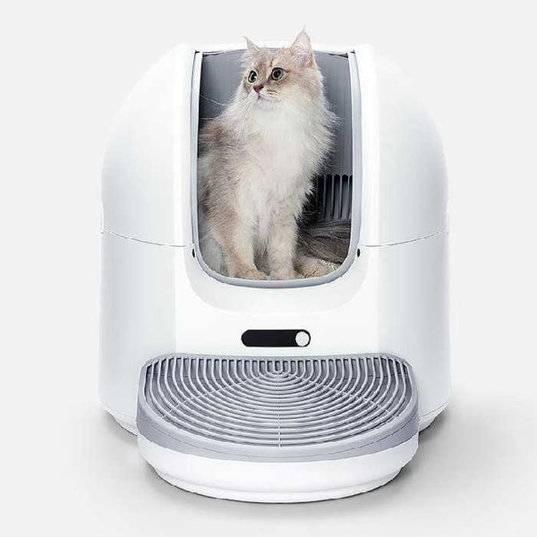 CHOUEER Review: Choueer ChouBox The Ultimate Automatic Litter Box Reviews
