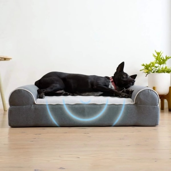Dog Cloud Massage Dog Bed Reviews