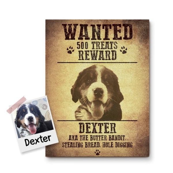 Guilty Paws The Bandit - Custom Pet Canvas Reviews