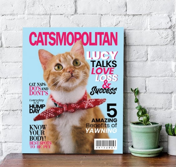 Is Guilty Paws Worth It?