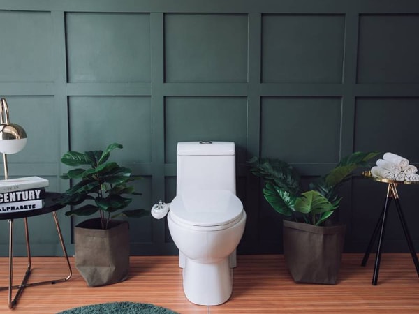 TUSHY Bidet vs Luxe Bidet 