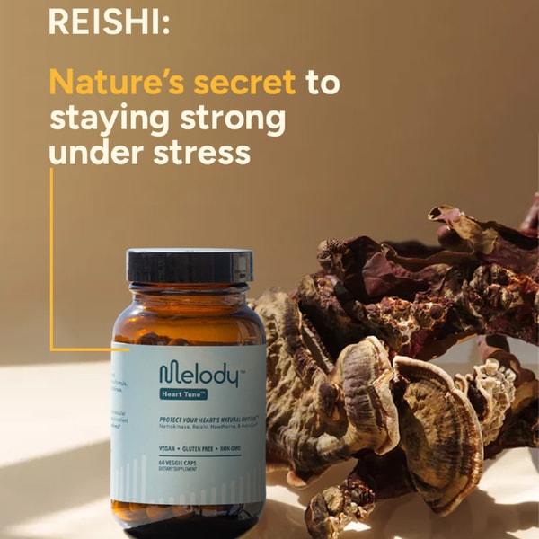 Melody Wellness Benefits