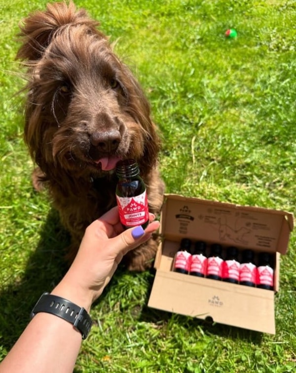 PAWD DRINKS Reviews