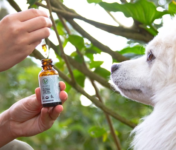 Vitality CBD Review