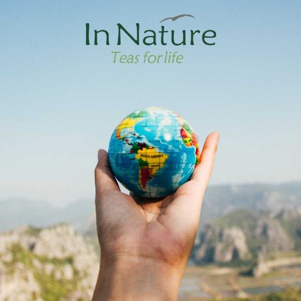 InNature Teas Review: Who Is InNature Teas For?