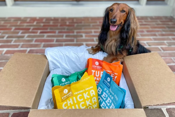 A Pup Above Review