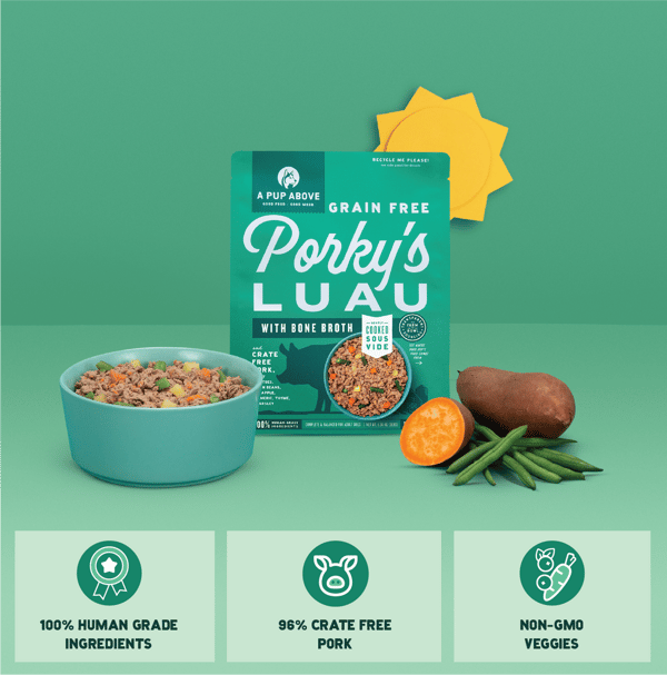 A Pup Above Porky&rsquo;s Luau Review
