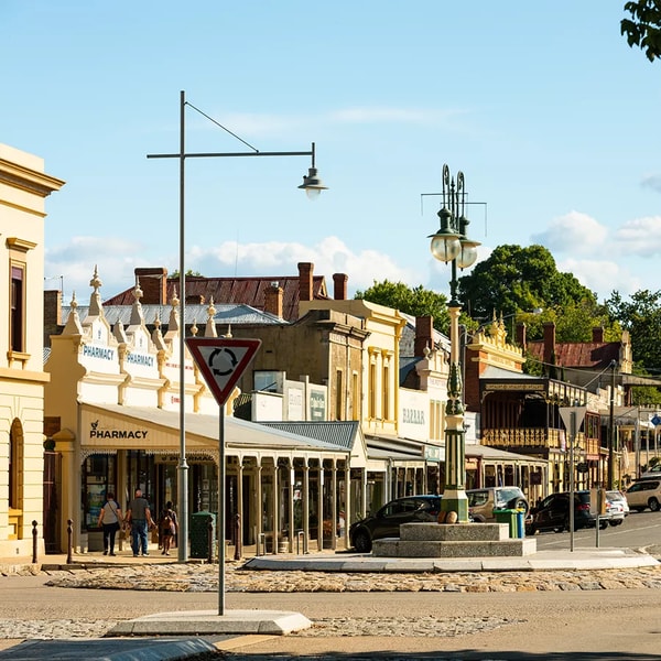 AAT Kings Southern Capitals City Meets Bush Reviews