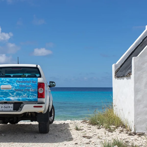 About AB Car Rental
