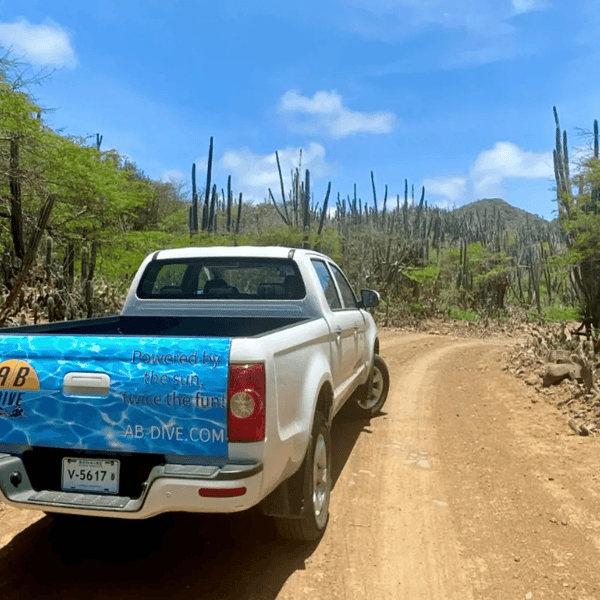AB Car Rental Review