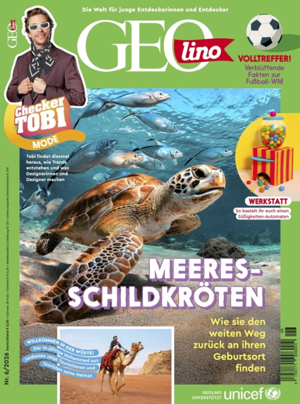 Abo Einfach GEOlino Bewertungen