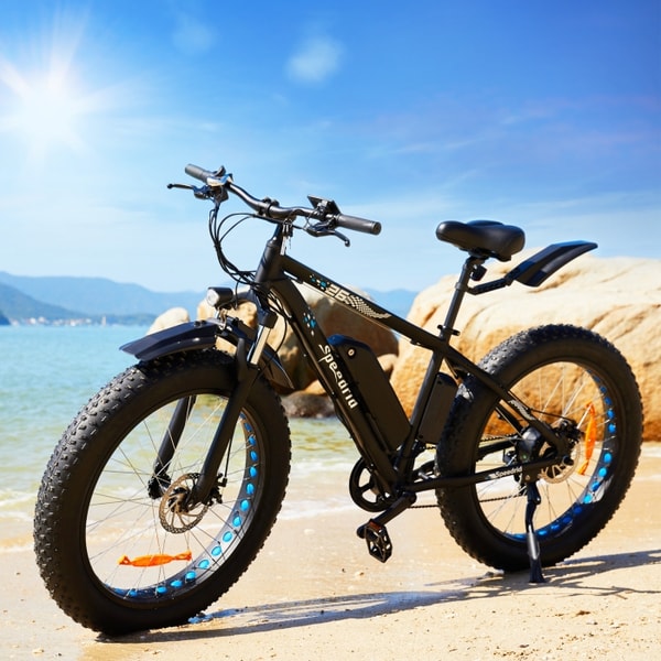 ANCHEER Electric Bike Review: About ANCHEER Electric Bike