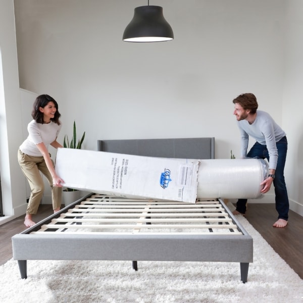 Dynasty Mattress Review: About Dynasty Mattress