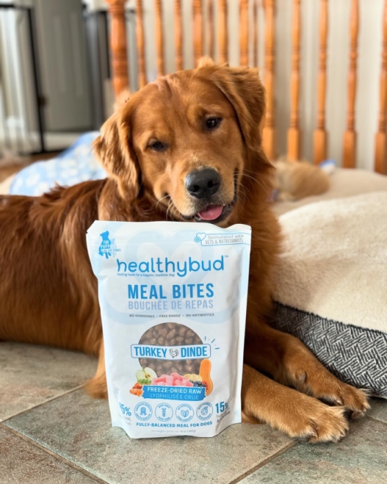 About Healthybud Dog Treats And Foods