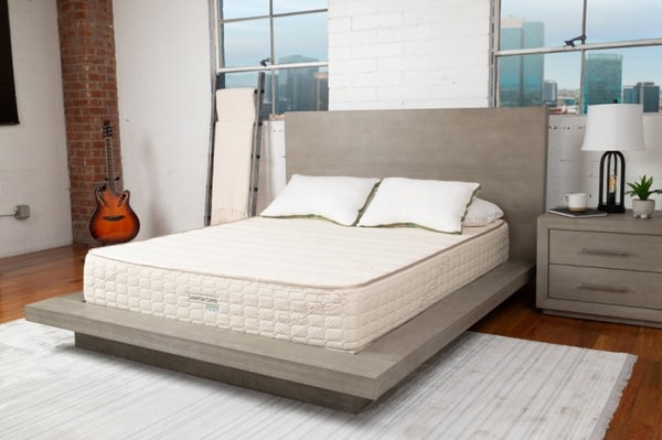 About Latex Mattress Factory