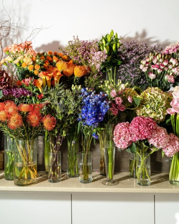 About Moyses Stevens Flowers London