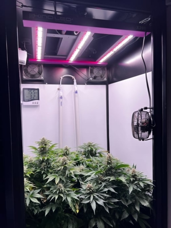 About SuperCloset Grow Box