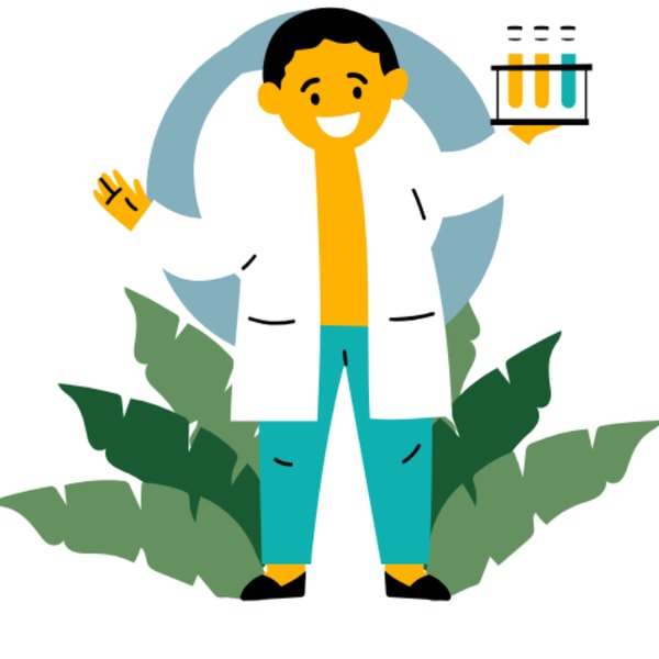 About WPRankLab