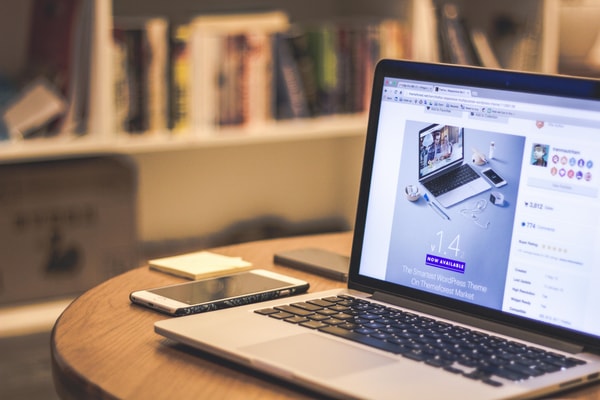 Accu Web Hosting Budget Plan Review