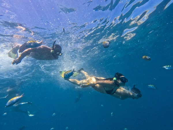 Inside Adventures Cabo Thrills